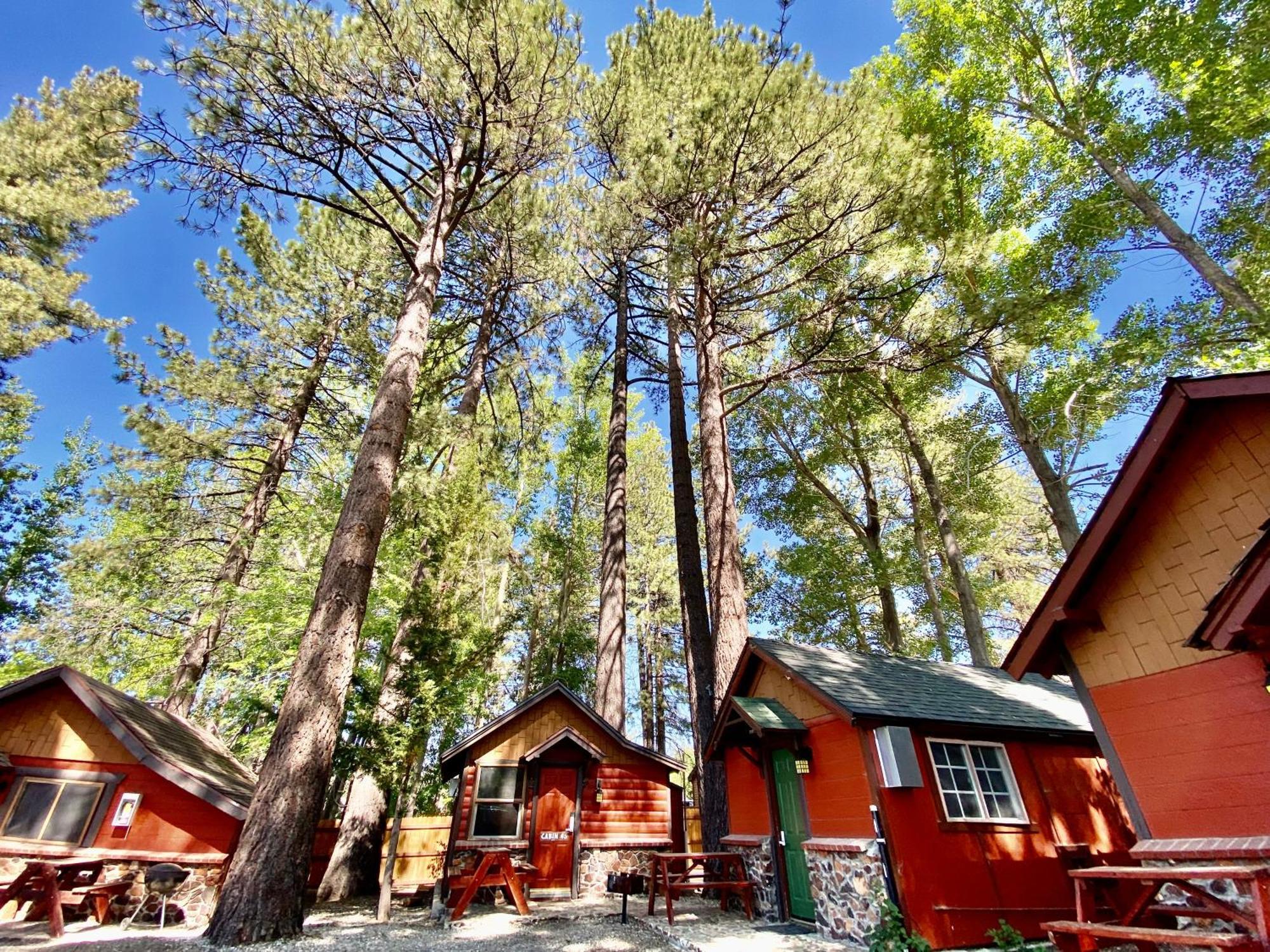 The Village Cabins Big Bear Lake Kültér fotó
